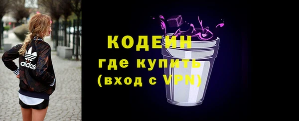 индика Балабаново
