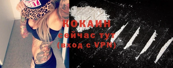 индика Балабаново