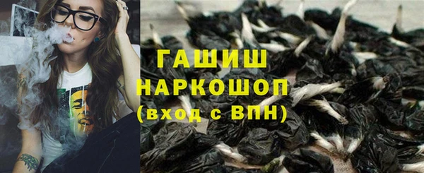 индика Балабаново