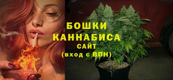 индика Балабаново