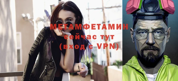 индика Балабаново